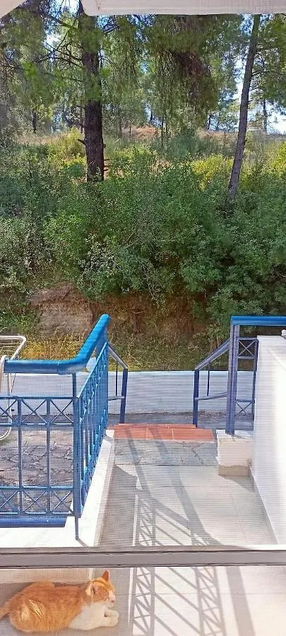 Siviri Sea & Forest-Cozy Apartment With Garden & Nature Views ギリシャ